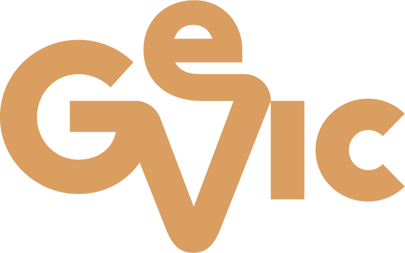 ?php echo get_bloginfo( 'name' ); ?>